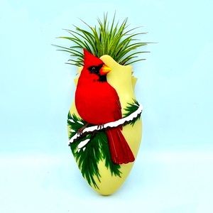 CARDINAL Wall Pocket Vase - Ibis and Orchid Air Plants Dried Flowers Succulents